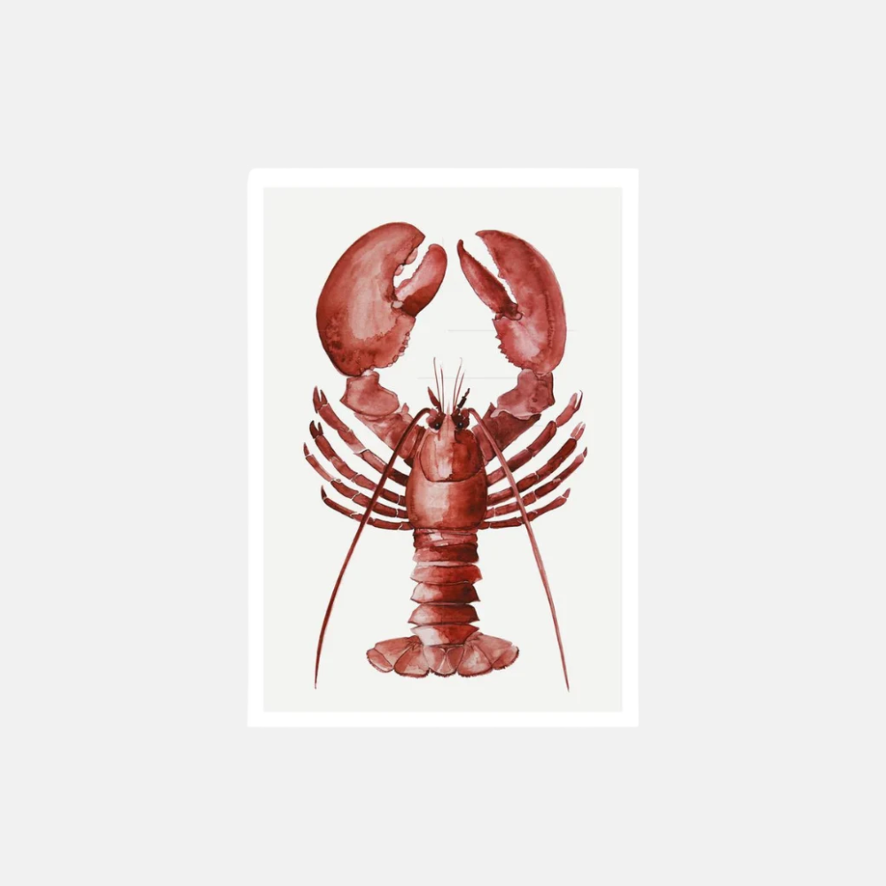 Postcard - Lobster