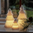 Afbeelding laden in Galerijviewer, Olivia Tree | Ø11xH16 Cm