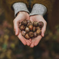 Load image into Gallery viewer, Art of Slow Living