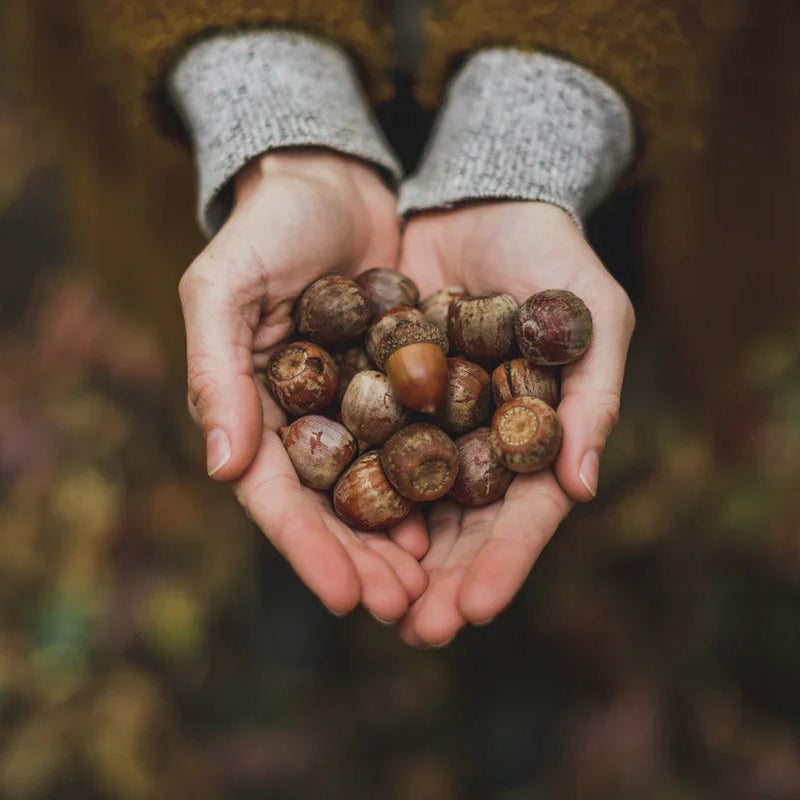 Art of Slow Living
