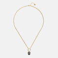 Afbeelding laden in Galerijviewer, Awareness Labradorite Necklace
