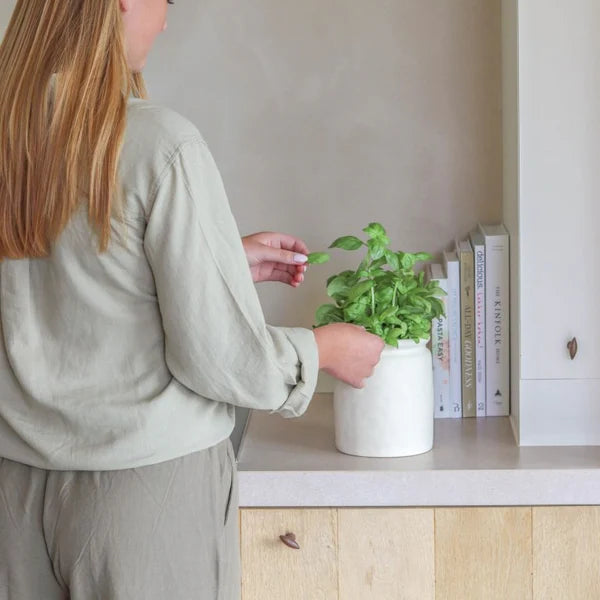 Pot Koen | Leeff
