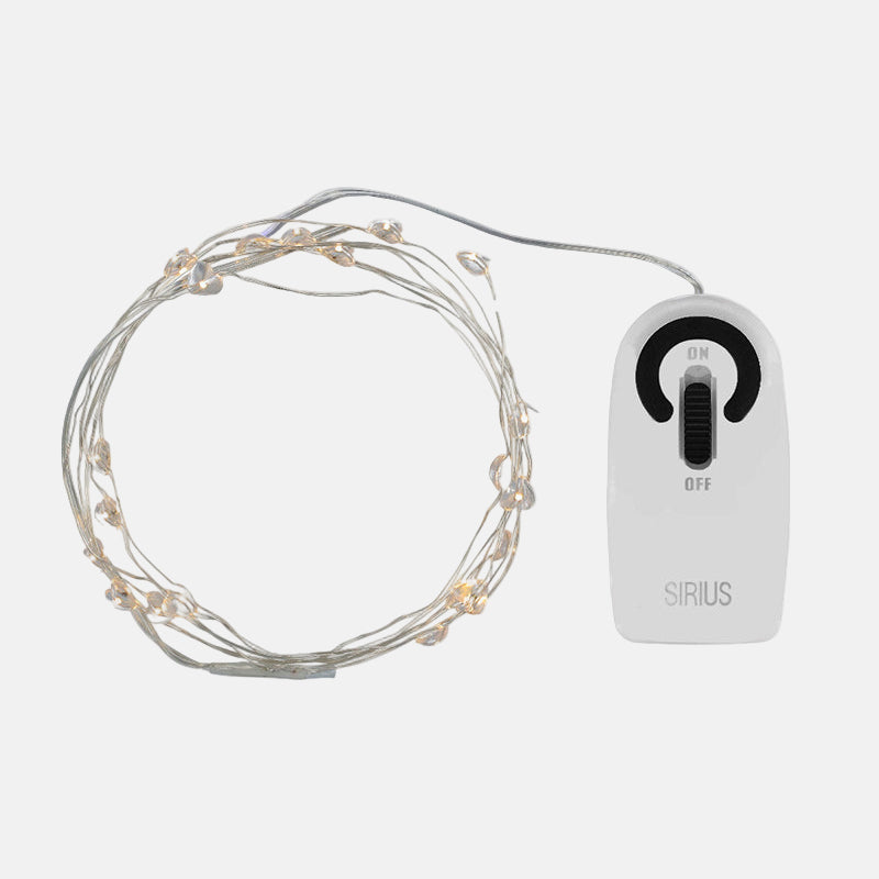 Lichtsnoer Hartjes Clear/Silver 20leds