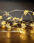 Afbeelding laden in Galerijviewer, Star lichtsnoer Clear/Silver 3,9m 40leds