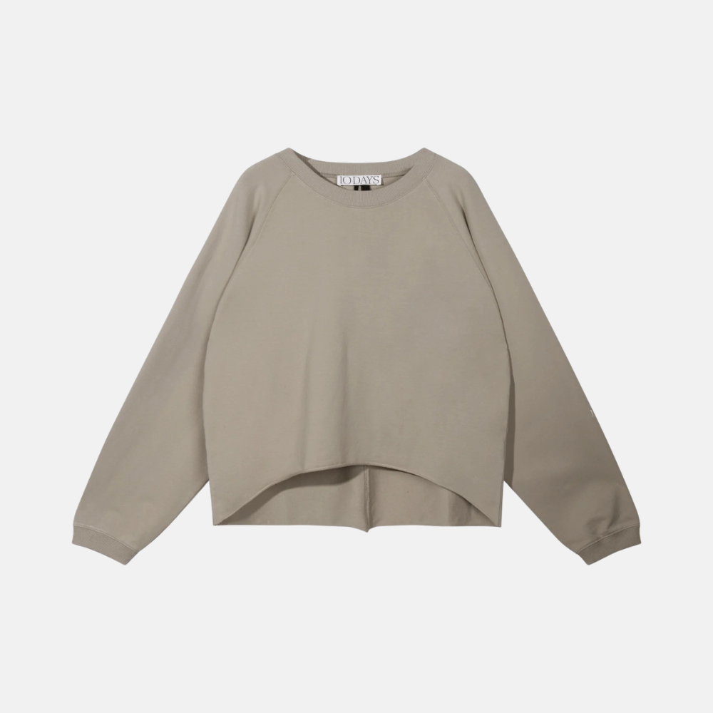silent chique raglan sweater