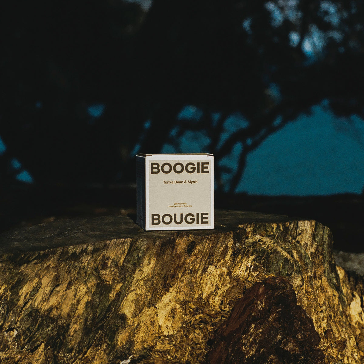 BOOGIE BOUGIE | Candle Tonka Bean & Myrrh