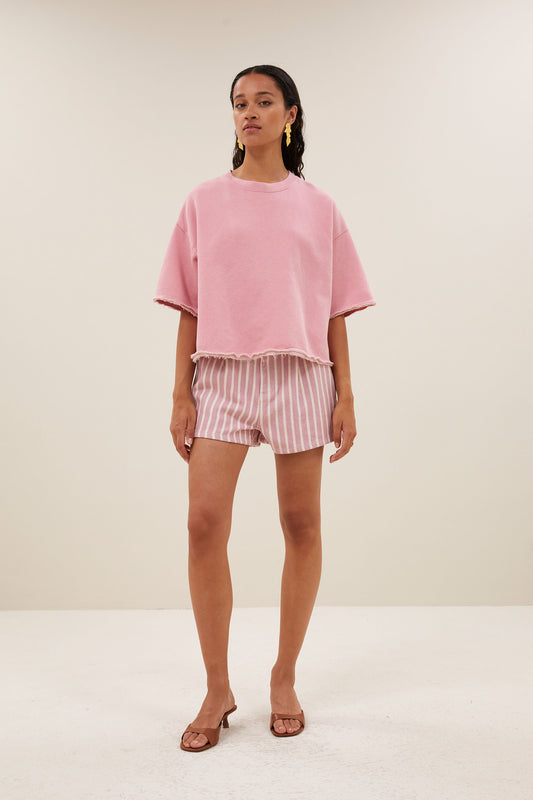 willow dictionary top