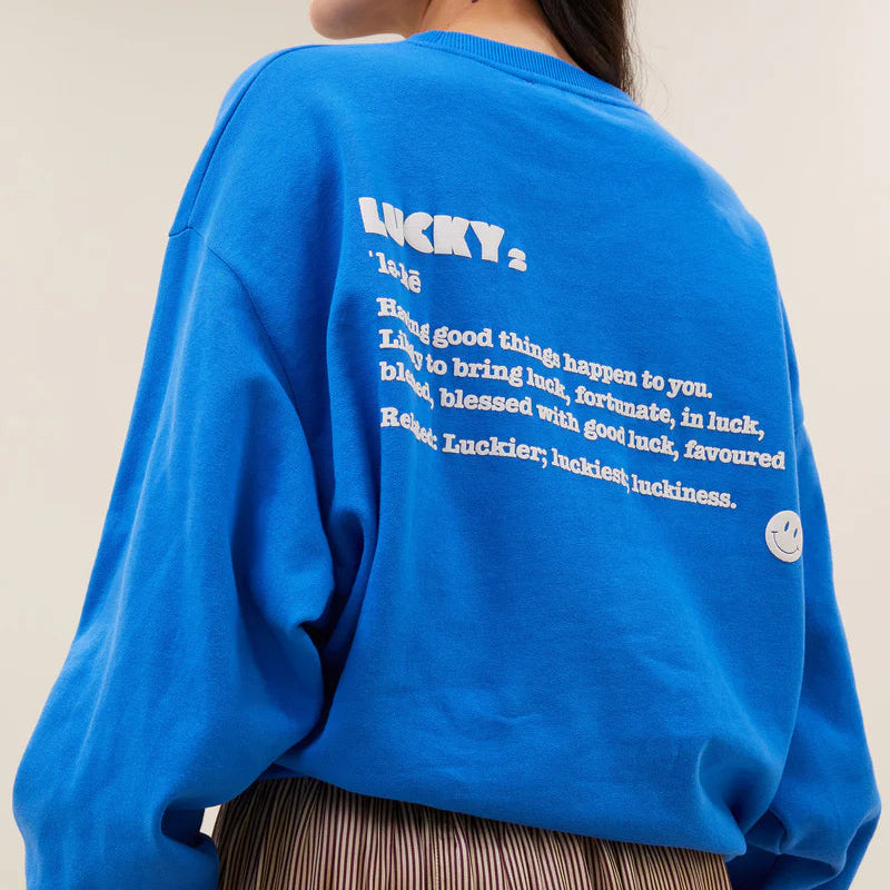 bibi dictionary sweater