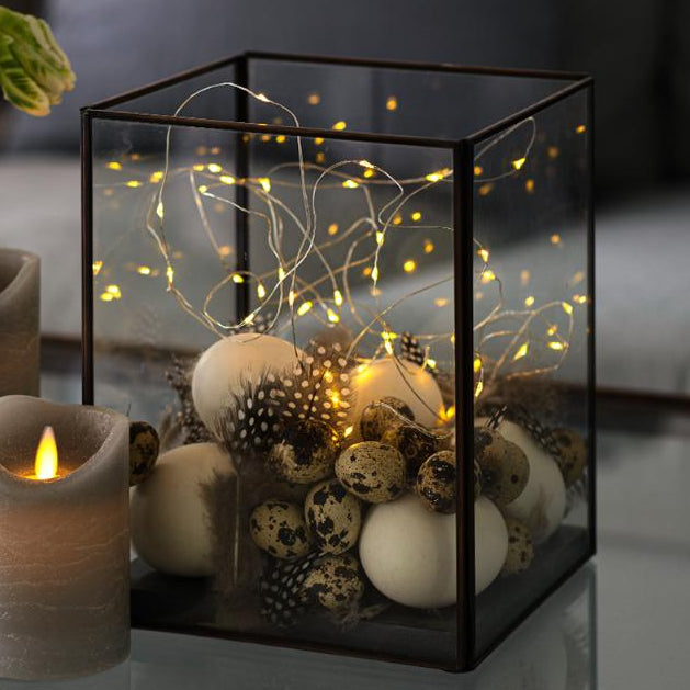 Lichtsnoer Clear/Silver 20leds