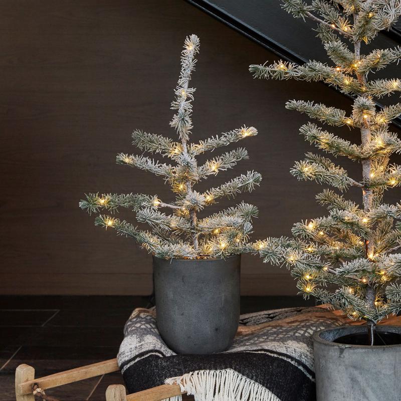 Alfred Tree | H60 Cm