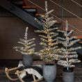 Load image into Gallery viewer, Alfred Tree | H1.2 Cm
