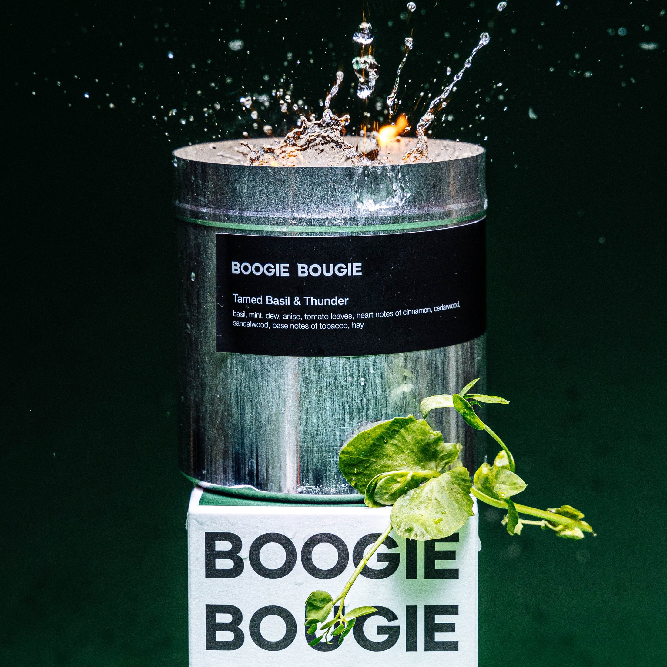 BOOGIE BOUGIE | Candle Tamed Basil & Thunder