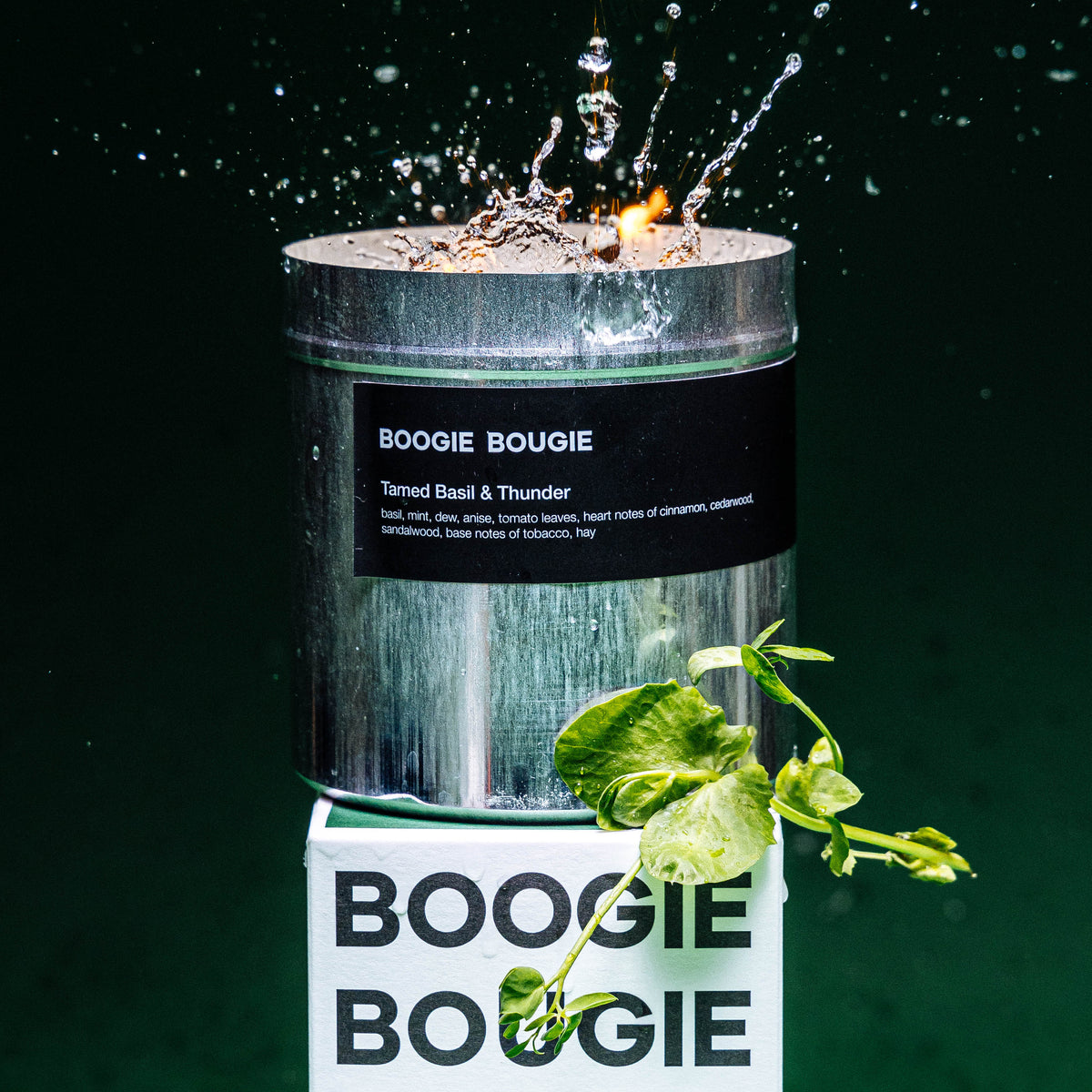 BOOGIE BOUGIE | Candle Tamed Basil & Thunder