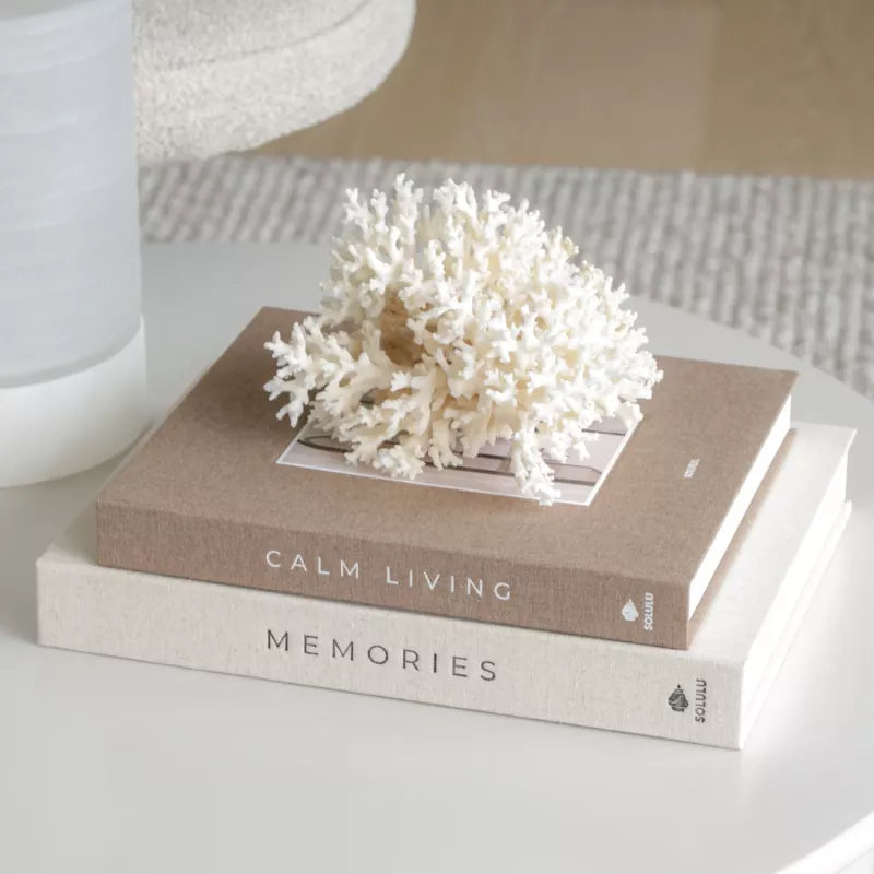 Memories| SOLULU