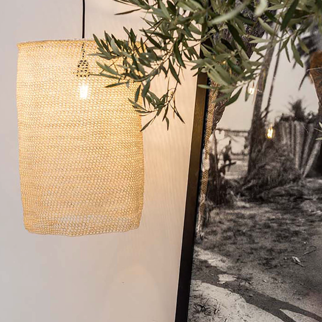 Nus hanglamp