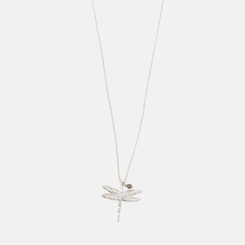 PARADISE LABRADORIET KETTING