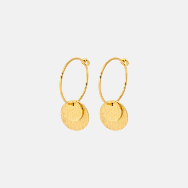 Small Coin Earrings