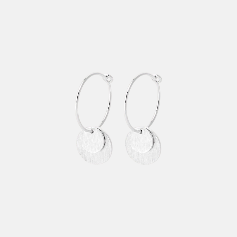 Small Coin Earrings