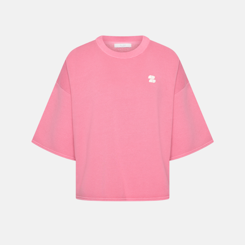 willow dictionary top