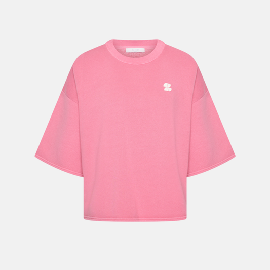 willow dictionary top