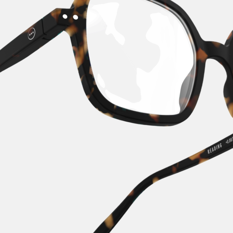 READING OFFICE TORTOISE