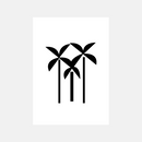 Palms Palms Palms - Sticky Canvas