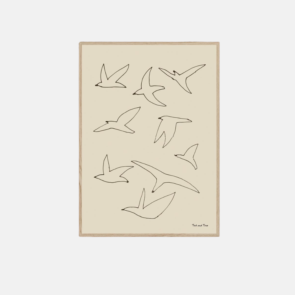 Freedom Birds - Poster