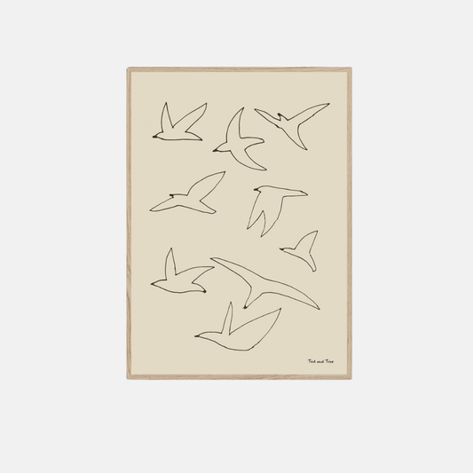 Freedom Birds - Poster