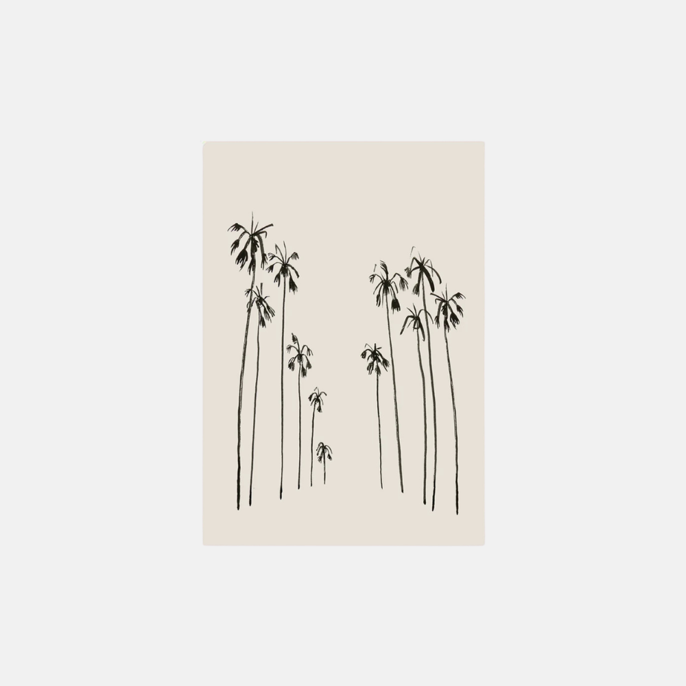 Postcard - Palms summer