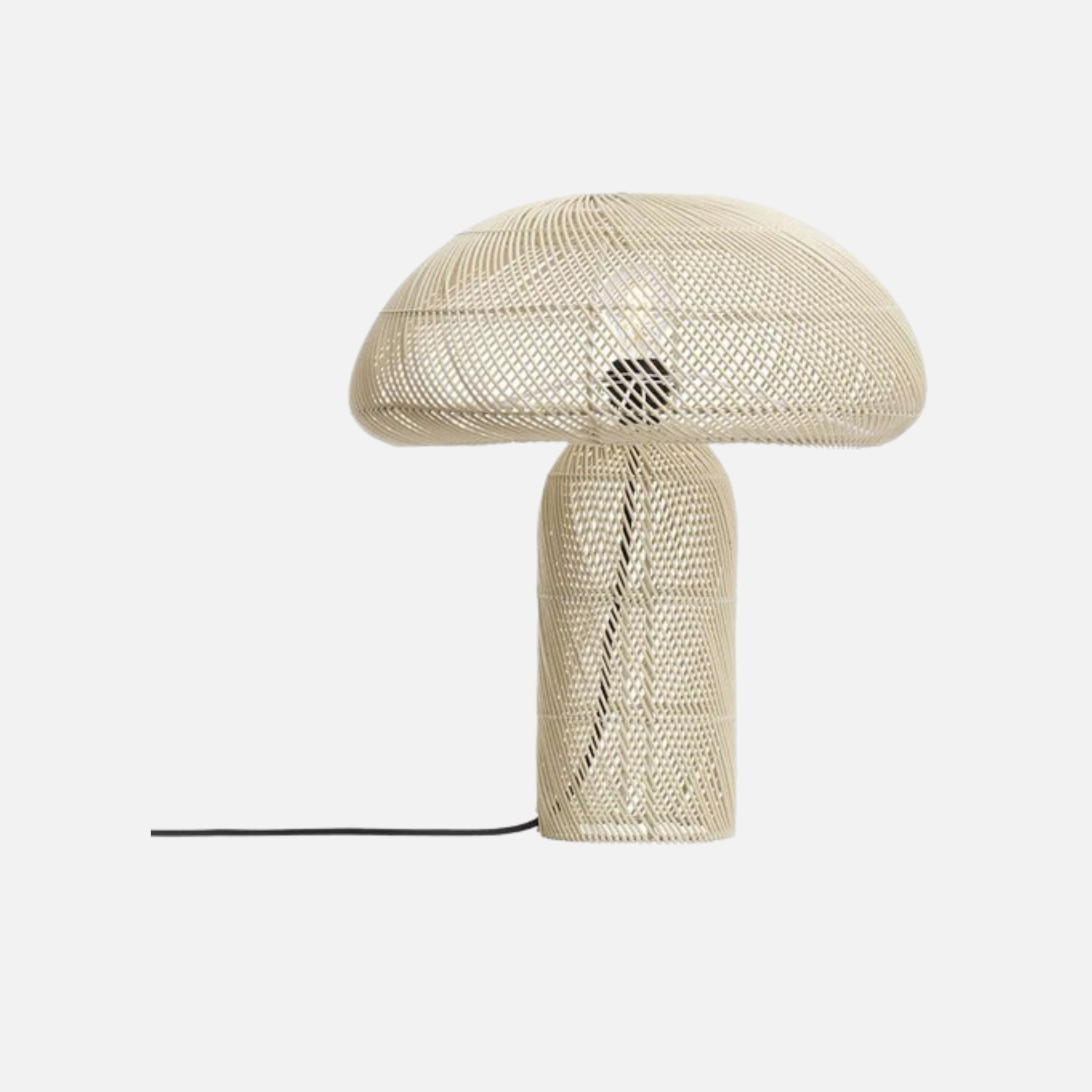 Juara Natural Recycled Lamp