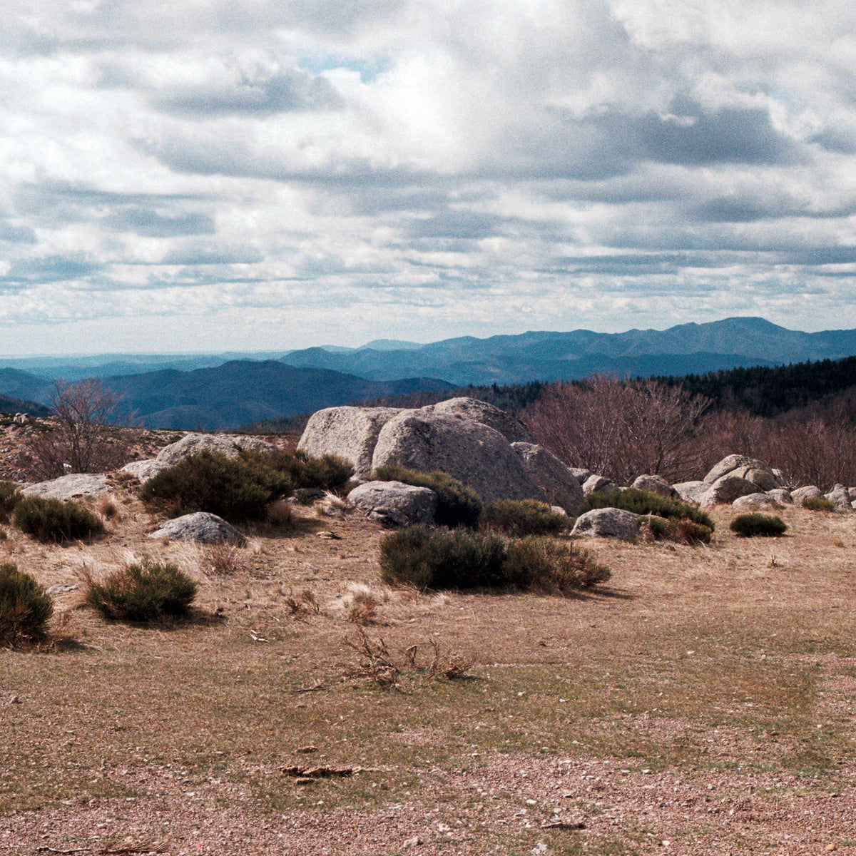 Travel book Cevennes