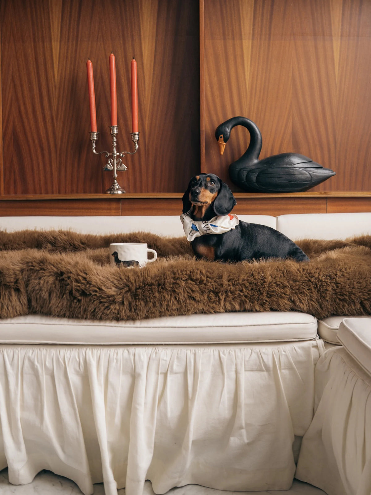 Dachshund Mug | ANNA+ NINA