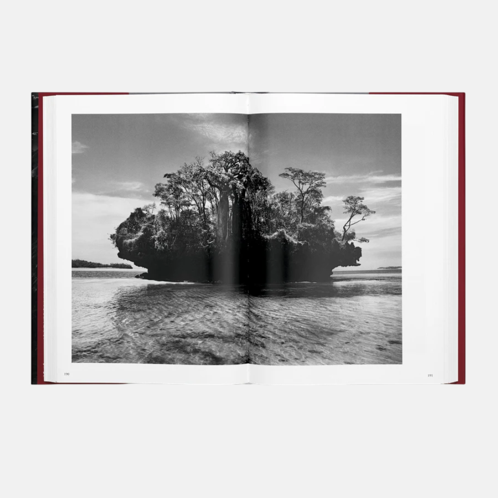 Sebastião Salgado. GENESIS
