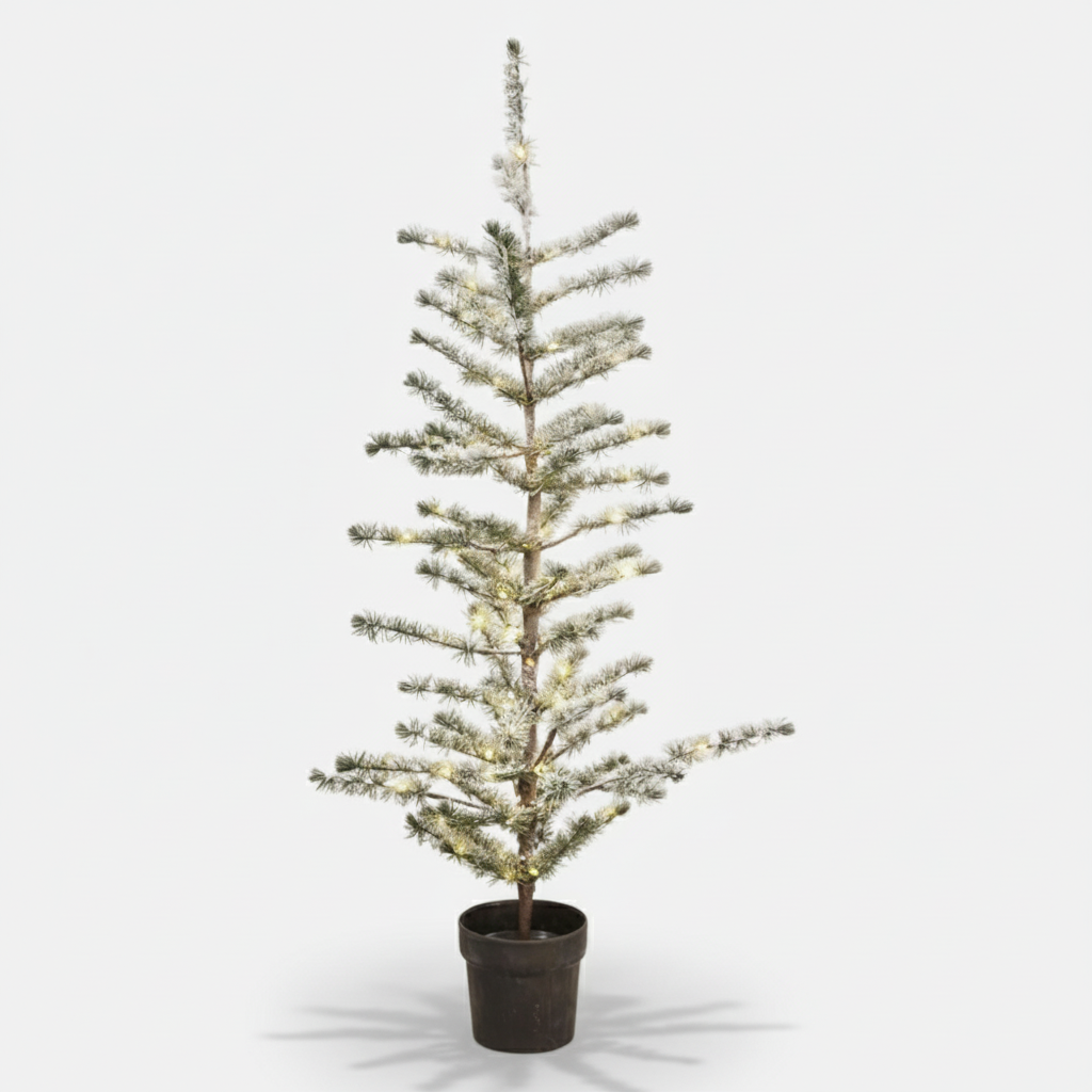Alfred Tree | H1.2 Cm
