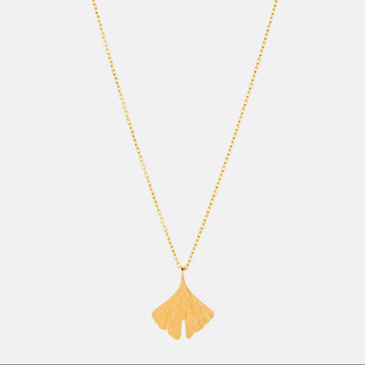 Biloba ketting
