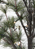 Load image into Gallery viewer, Alfi Tree, H1,2m+3m, 70L Snowy
