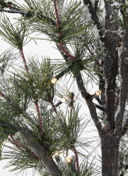 Alfi Tree, H0,9m+30m, 40L, Snowy