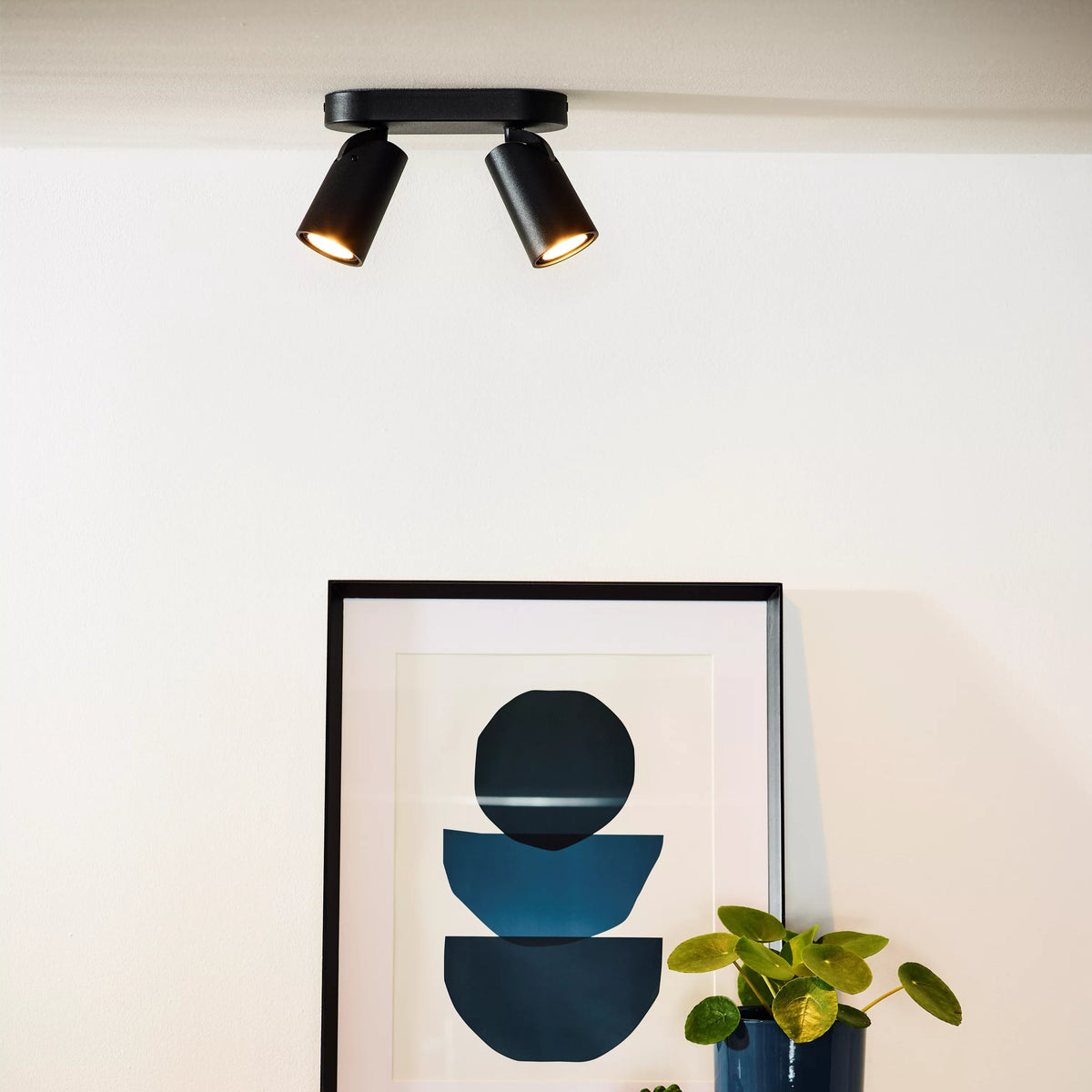 Xyrus Spot Dubbel Zwart